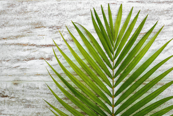 green palm leaves on a wood floor background - Foto, Bild