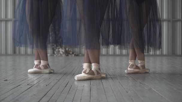 Yakın çekim bale dansçıları bacaklar Pointe ayakkabı, tayt ve örgü etek eğitim koreografi odasında ahşap zemin. Eylem. Bale dersleri - Fotoğraf, Görsel
