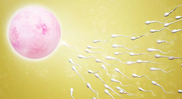 3D-rendering van sperma en eicel wetenschappelijke inhoud. - Foto, afbeelding