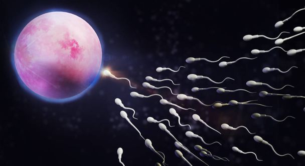 3d renderizado Contenido de ciencia de espermatozoides y óvulos
. - Foto, imagen