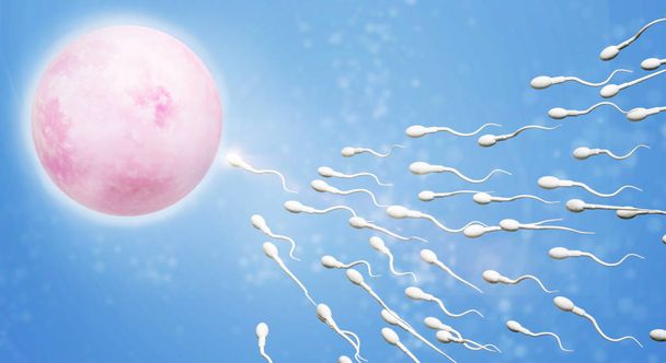 3D-Darstellung des wissenschaftlichen Inhalts von Spermien und Eizellen. - Foto, Bild