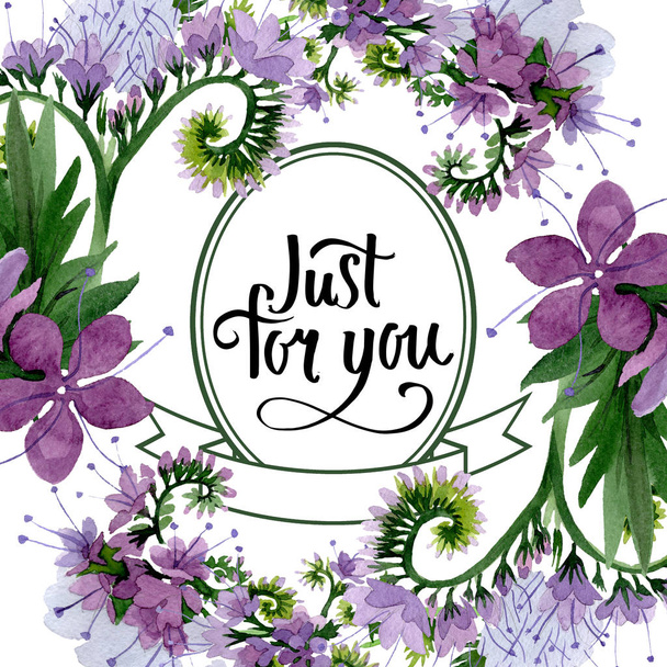 Phasélie violette fleurs botaniques forales. Ensemble d'illustration de fond aquarelle. Cadre bordure ornement carré
. - Photo, image