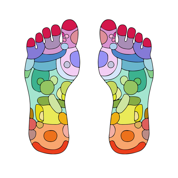 Reflexology foot massage points - Vector, Image