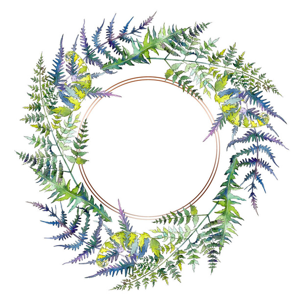 Fern green leaves. Watercolor background illustration set. Frame border ornament square. - Foto, afbeelding