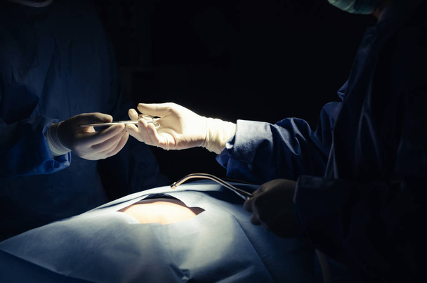 hands of surgeons team sending surgical instrument to partner hand working for rescue patient in operation room at hospital, emergency case, surgery, medical, health care cancer, disease concept - Fotografie, Obrázek