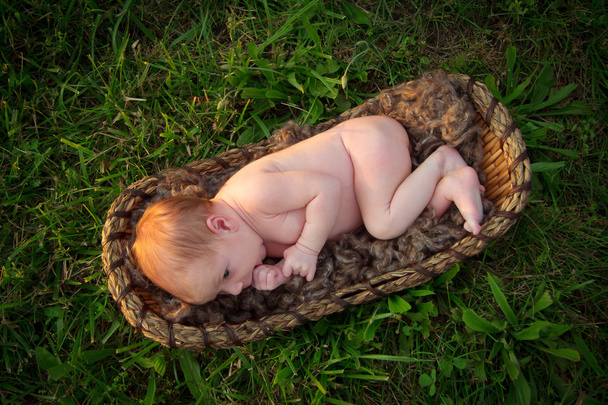 An Alert Newborn Baby in Basket outside - Photo, Image