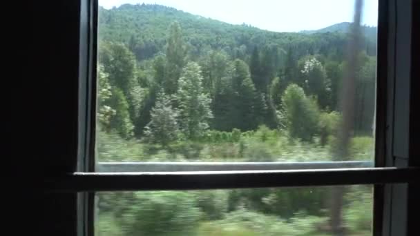 Landschap uitzicht vanuit het raam van de bewegende trein - Video