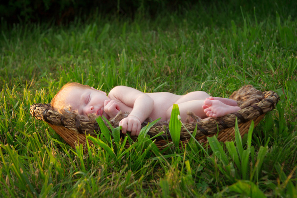 Спящий новорожденный ребенок в корзине снаружи
 - Фото, изображение