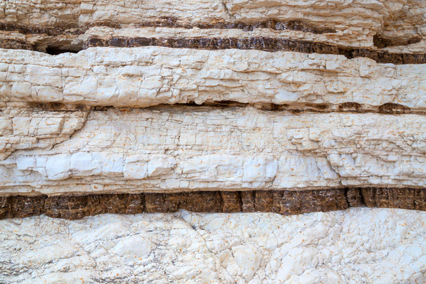 Kalkkikivi sedimenttikivi Gargano, Italia
 - Valokuva, kuva