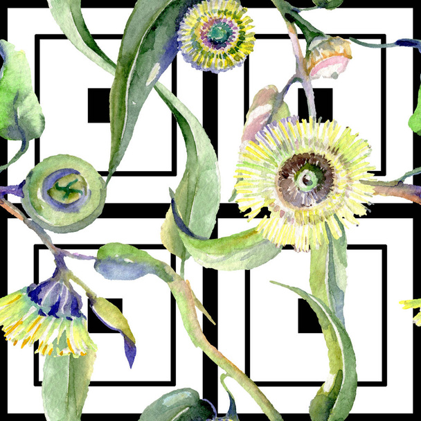 Eucalyptus floral botanical flowers. Watercolor background illustration set. Seamless background pattern. - Φωτογραφία, εικόνα