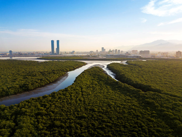 Panoramic view of Ras al Khaimah over mangrove forest in the UAE - Photo, Image