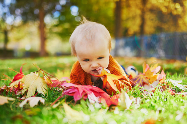 Κορίτσι κάθεται στο γρασίδι και παίζοντας με πολύχρωμα φύλλα του φθινοπώρου - Φωτογραφία, εικόνα