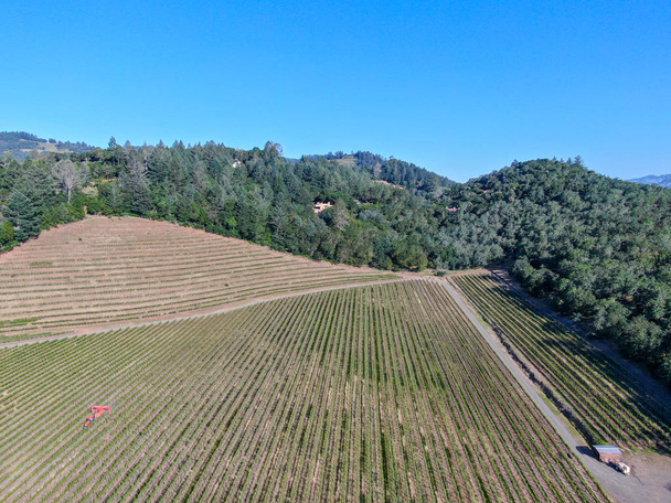 Vista aerea del vigneto nella Napa Valley durante la stagione estiva. Contea di Napa, in California Wine Country, parte della regione della Baia del Nord della San Francisco Bay Area. Vigneti paesaggio
. - Foto, immagini
