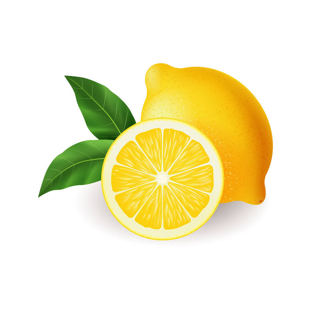 realistische leuchtend gelbe Zitrone mit grünem Blatt ganz und aufgeschnittenen Vektor - Vektor, Bild