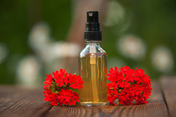 catchfly essential oil in  beautiful bottle on wooden background - Photo, Image