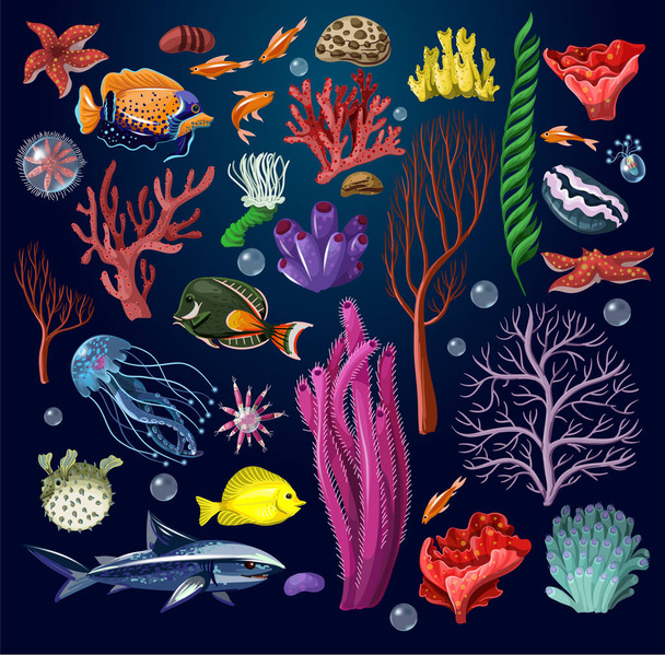 Marine inhabitans and herb isolated. - Vector, Image