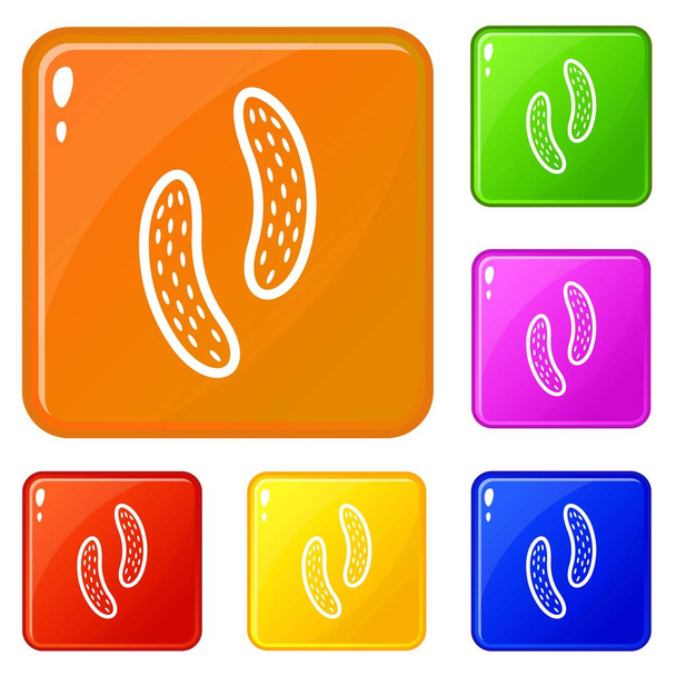 Epithelial cell icons set vector color - Wektor, obraz
