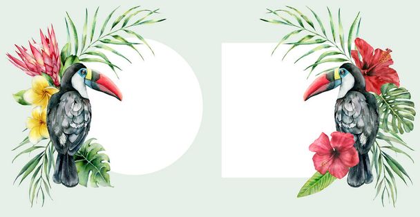 Aquarel kaart met tropische bloemen boeket en Toucan. Handgeschilderde vogel, Protea, hibiscus en Plumeria geïsoleerd op witte achtergrond. Natuur botanische illustratie voorontwerp, afdrukken. - Foto, afbeelding