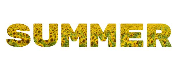 La palabra "verano". Inscripción amarilla sobre fondo blanco. Tema de girasol brillante para vacaciones largas y diseño de verano
.  - Foto, imagen