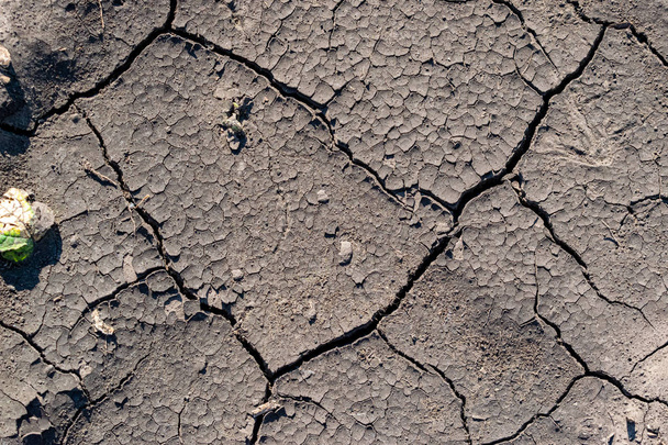 Трещины в почве
 - Фото, изображение