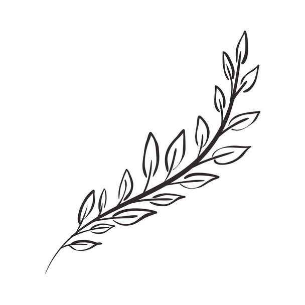 mooie blad plant geïsoleerde pictogram - Vector, afbeelding