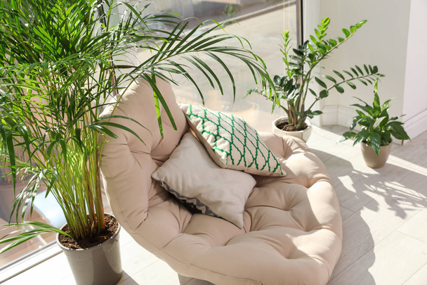 Cozy place with armchair pillow and potted plants at home - Фото, зображення
