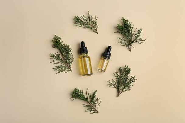 Two little bottles with essential oils and pine branches on color background, top view - Fotoğraf, Görsel