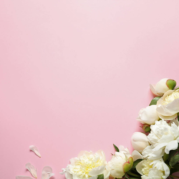 Fragrant peonies on color background, flat lay with space for text. Beautiful spring flowers - Foto, imagen