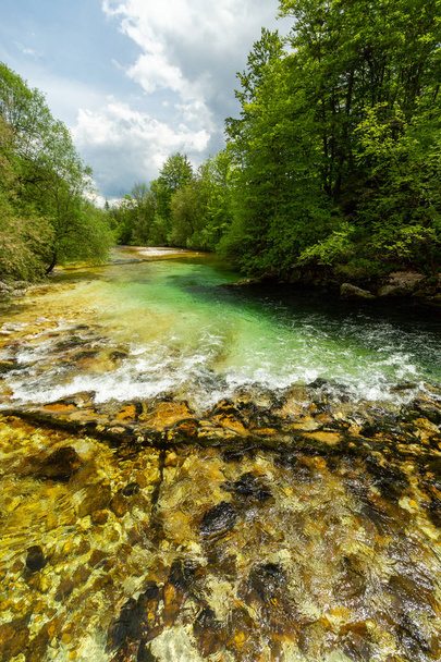 Wieś Jezioro Bohinj i Ukanc w parku narodowym Triglav, Słowenia - Zdjęcie, obraz