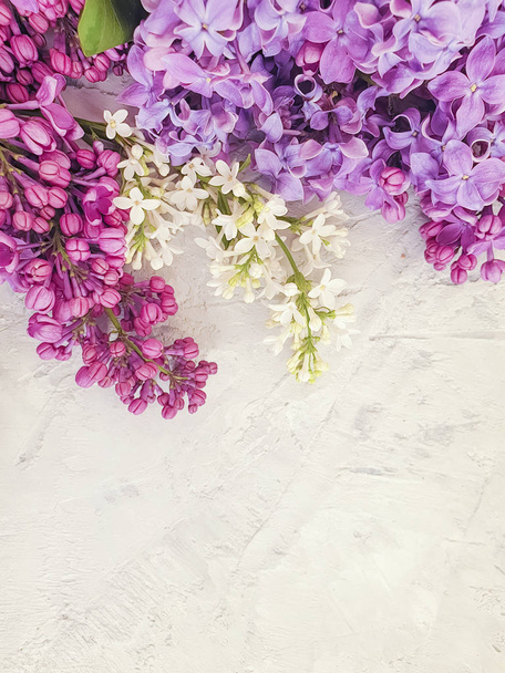 šeříková květina na betonovém pozadí rámu - Fotografie, Obrázek