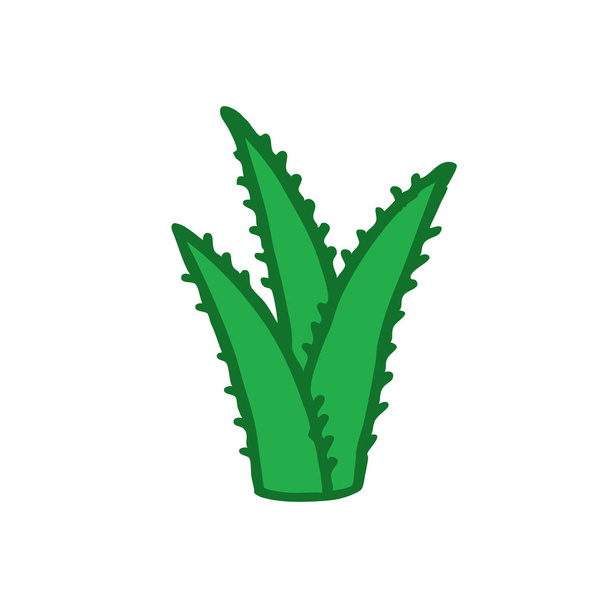 icône de doodle aloe vera
 - Vecteur, image