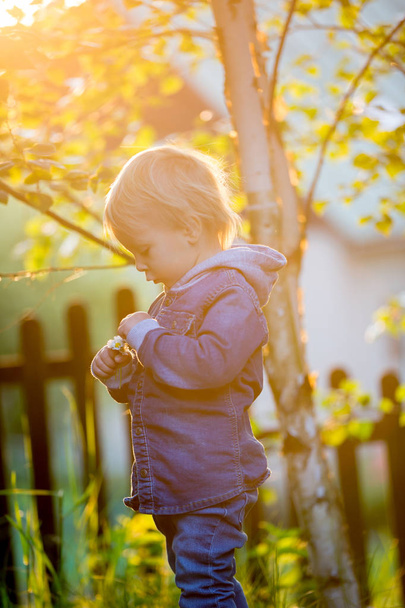 Little toddler boy with jeans and shirt, holding cute flowers on - Fotó, kép