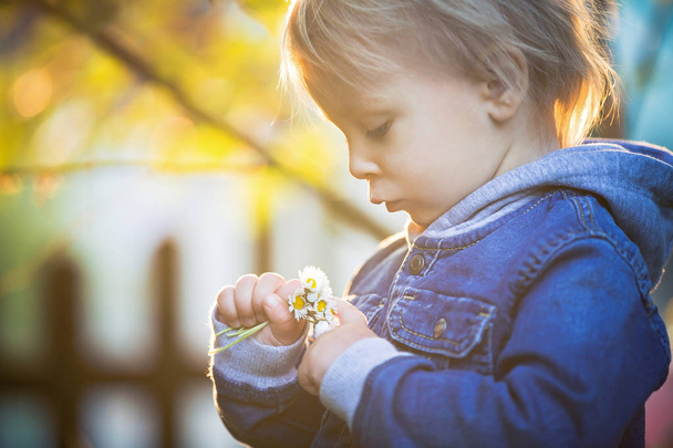 Little toddler boy with jeans and shirt, holding cute flowers on - Foto, Imagem