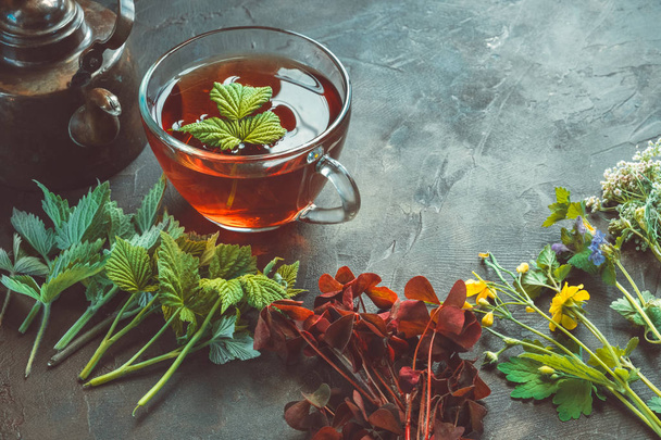 Çeşitli şifalı bitkiler ve otlar, sağlıklı bitkisel çay bardağı ve v - Fotoğraf, Görsel