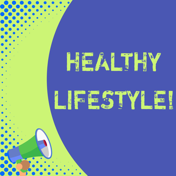 Text sign showing Healthy Lifestyle. Conceptual photo way of living that lowers the risk of being seriously ill Half part blank huge balloon empty text with small megaphone. Announcement. - Photo, Image