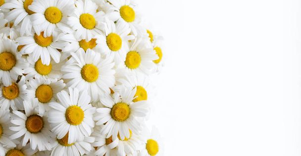 Hermoso fondo con flores - Foto, imagen