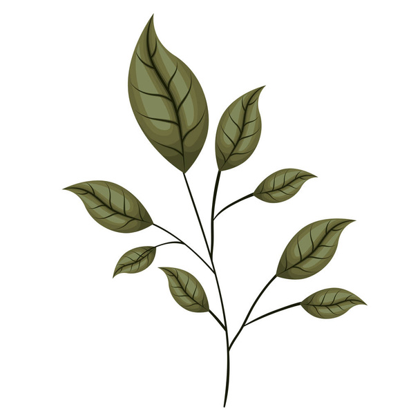 branch with leafs ecology icon - Vector, Image