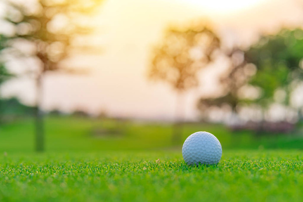 Мяч для гольфа на зеленой траве готов к стрельбе на площадке для гольфа
 - Фото, изображение