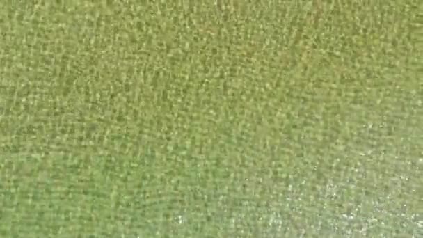Pohled na křišťálově čistou vodu moře. Letecký pohled na písečnou pláž pod vodou. zobrazení z výšky. strukturování mořské vody - Záběry, video