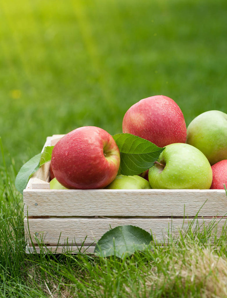 Kutu içinde taze bahçe yeşil ve kırmızı elma - Fotoğraf, Görsel