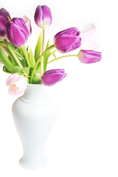 Violet and pink tulips - Foto, afbeelding