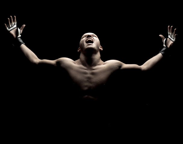 Винищувач MMA
 - Фото, зображення