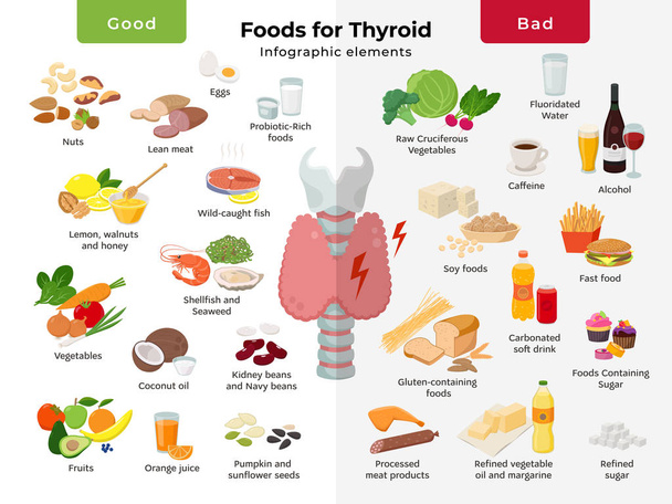 Tiroid beslenme infografik elemanları. tiroid sağlığı için gıdalar, iyi ve kötü yemek simgesi düz tasarım beyaz izole ayarlayın. Gırtlak ve trakea vektörü düz illüstrasyonda tiroid bezi. - Vektör, Görsel