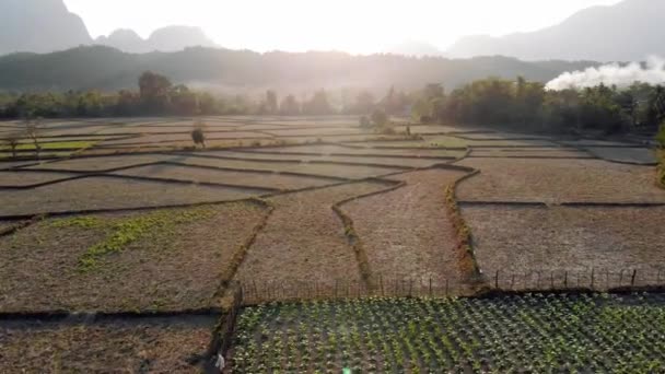 Vue aérienne des champs agricoles et des formations rocheuses à Vang Vieng, Laos. Vang Vieng est une destination populaire pour le tourisme d'aventure dans le paysage karstique calcaire
. - Séquence, vidéo