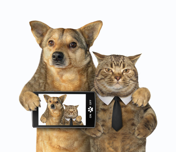 Selfie pour chien et chat 2
 - Photo, image