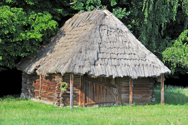 oude schuur met een stro dak - Foto, afbeelding