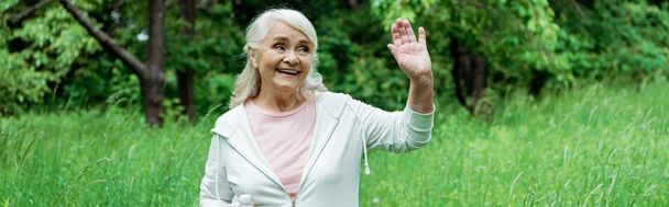 panoramic shot of cheerful senior woman with grey hair waving hand in park  - Foto, Imagen