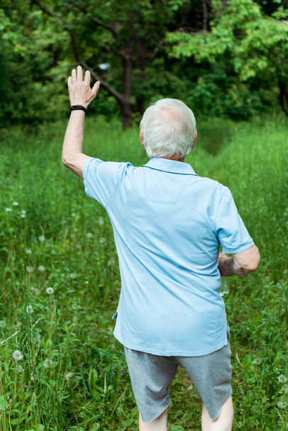 vista trasera del hombre mayor con el pelo gris agitando la mano en el parque verde
  - Foto, imagen