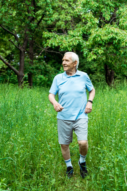緑の公園で走っている灰色の髪を持つ陽気なシニア男性  - 写真・画像