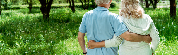 panoramic shot of retired man hugging senior wife in green park  - Foto, imagen